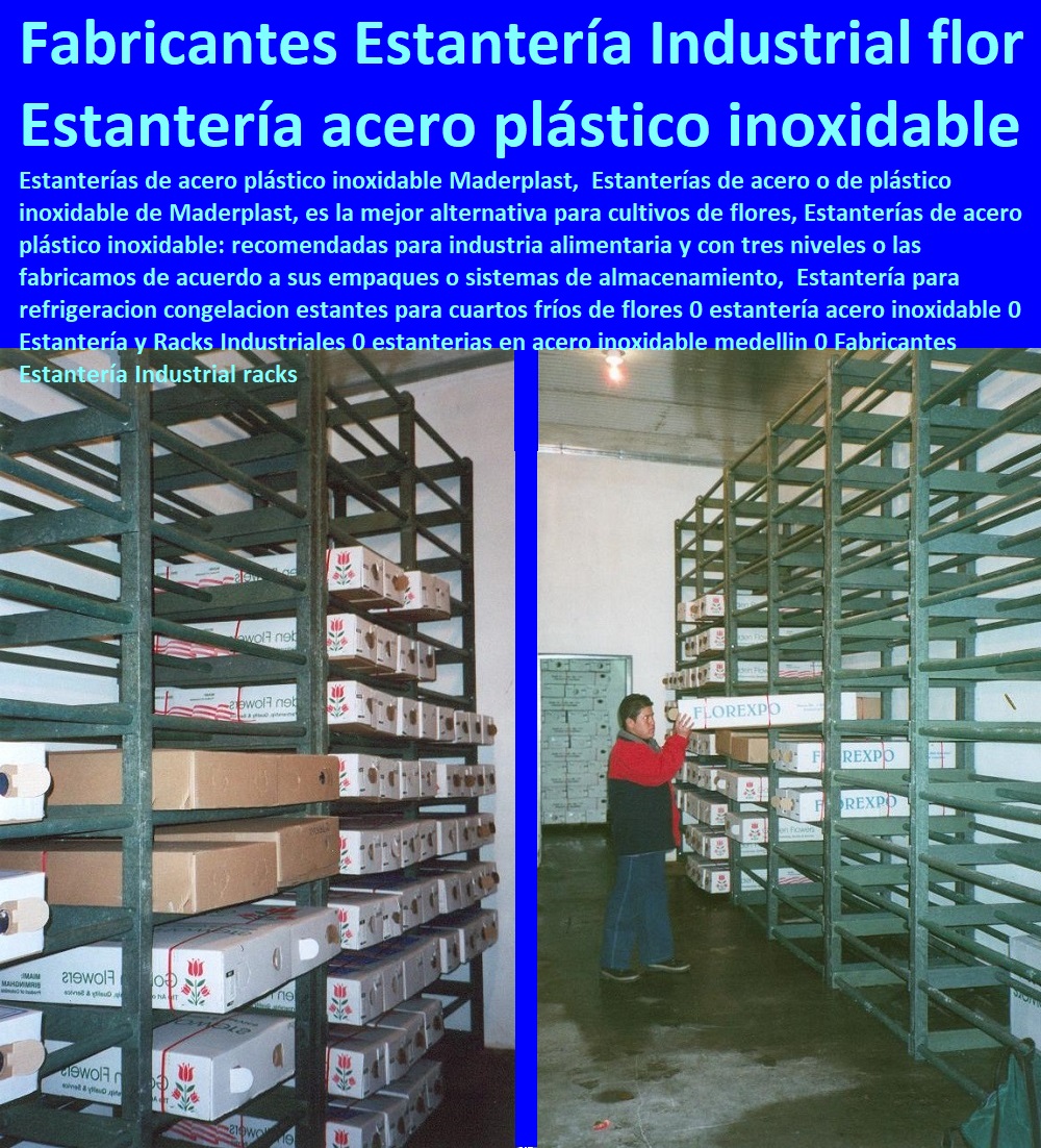 Estantería para refrigeracion congelacion estantes para cuartos fríos de flores 0 CULTIVOS TECNIFICADOS, INVERNADEROS, Semilleros, Bancos De Siembra, Hidroponía, Agricultura, Cosecha, Poscosecha, Tutores Para Flores, Cable Vía Bananas Aromáticas, estantería acero inoxidable 0 Estantería y Racks Industriales 0 estanterias en acero inoxidable medellin 0 Fabricantes Estantería Industrial racks Estantería para refrigeracion congelacion estantes para cuartos fríos de flores 0 estantería acero inoxidable 0 Estantería y Racks Industriales 0 estanterias en acero inoxidable medellin 0 Fabricantes Estantería Industrial racks